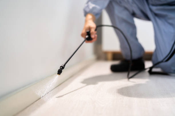 Licensed Pest Control service in Sunray, TX - Show Me Pest Control