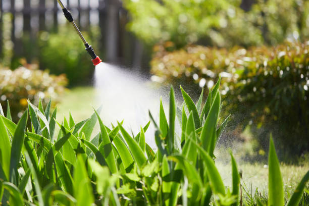 24/7 Emergency Mosquito Control experts in Sunray, TX